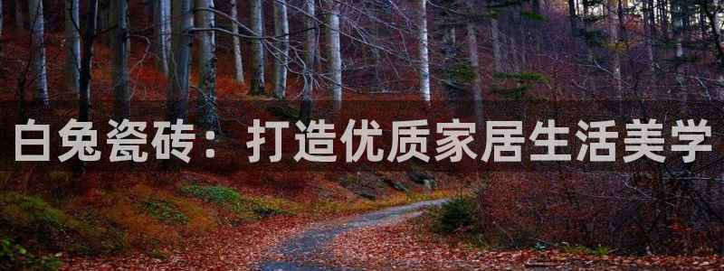 和记国际官网电话