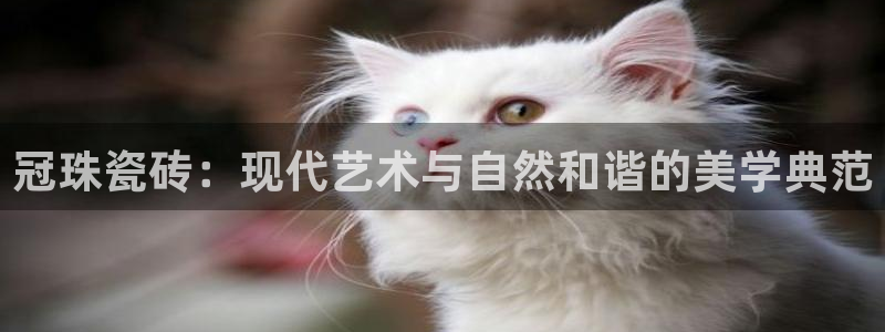 和记3国际万能卡官网