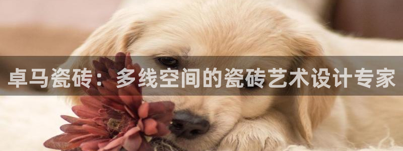 和行记义工网官网