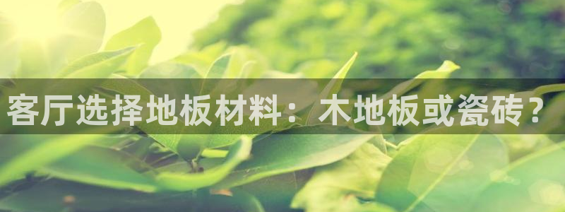 元和记官网