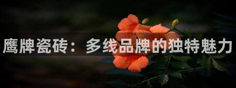 和记家家加盟官网
