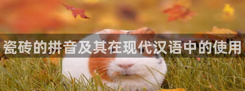 和记开户官网