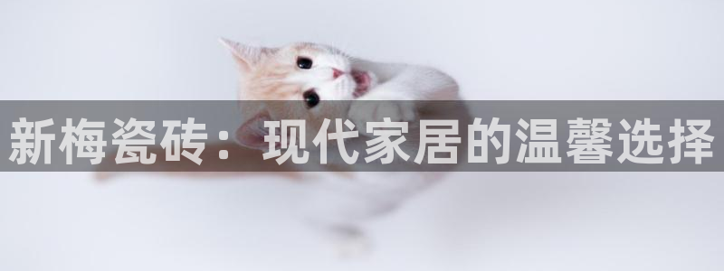 香港和记官网