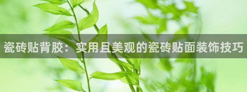 和记娱安全h88285官网