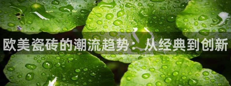 和力记易官网
