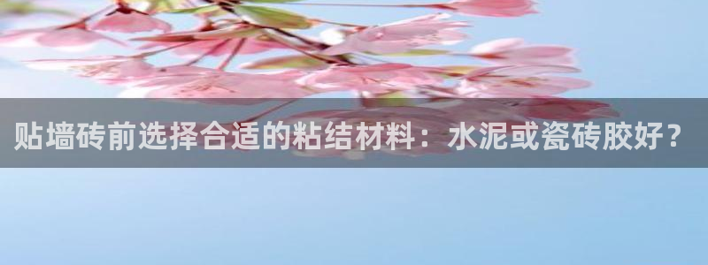 和记手机官网