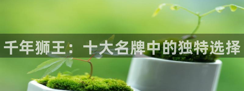 和记怡情官网入口