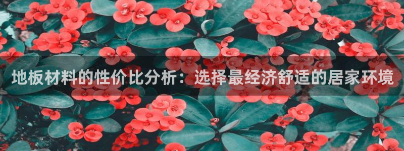 澳门3和记官网