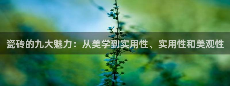 和记app官方官网登录