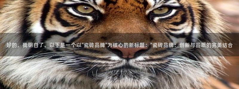 和记娱解答h88285官网