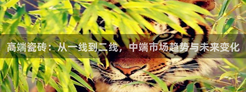 官网和记通讯