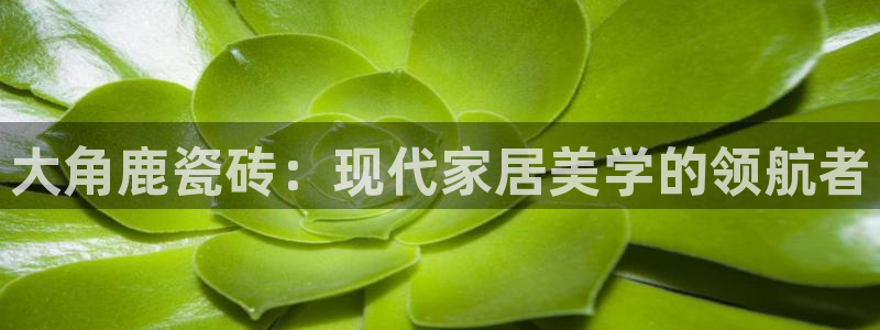 和记娱乐 怡情搏娱官网