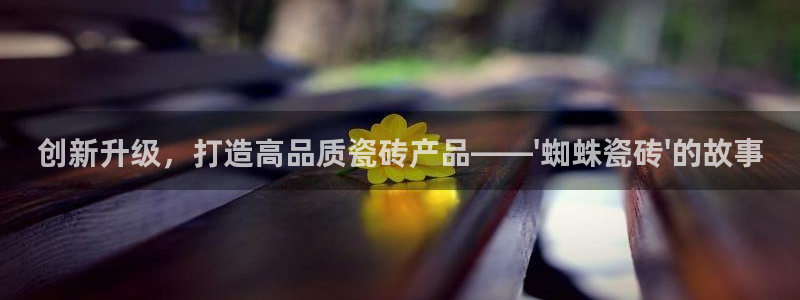 和记3电讯 官网