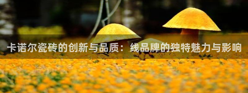 和记黄埔公司官网