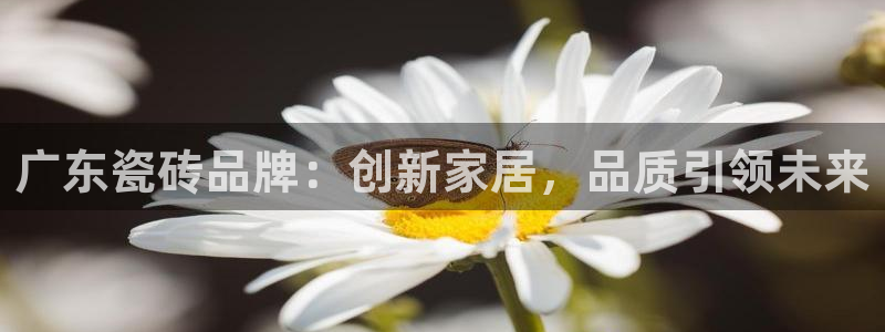 和记官网app是谁的