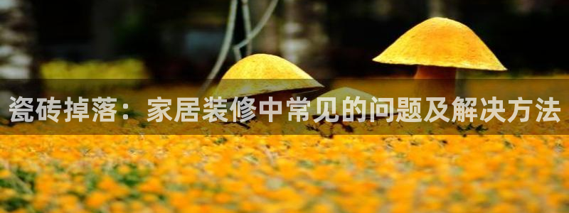 和记188官网