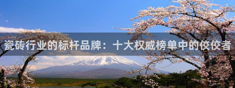 和记网站官网