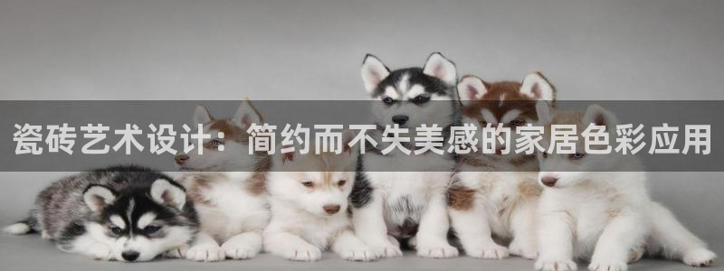 和记国际平台官网