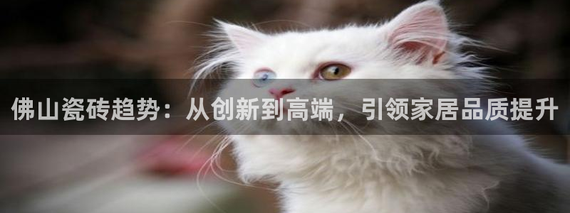 和记娱要多少钱h88285官网