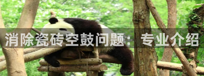 和记娱真心推荐h88285官网