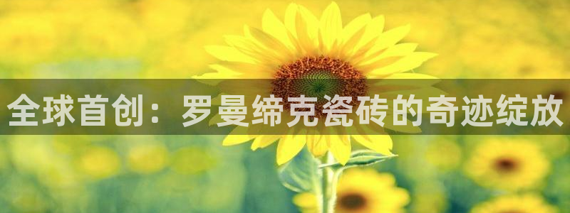 和记娱技精h88285官网