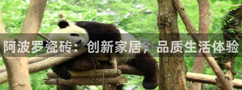 和记娱乐h88官网