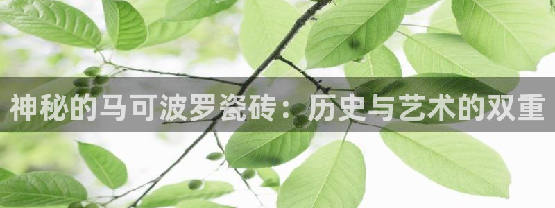 澳门和记电信官网