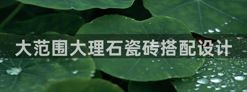 和记黄埔集团官网