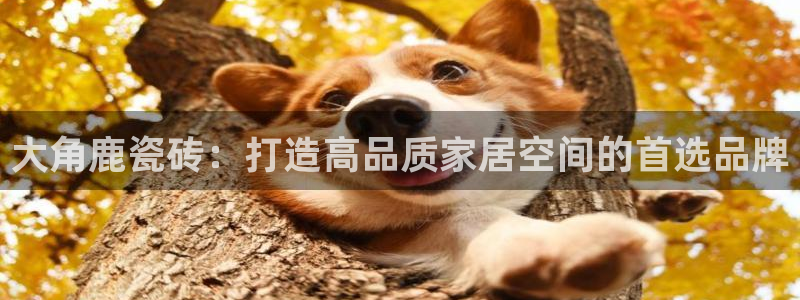 和记怡情官网电话