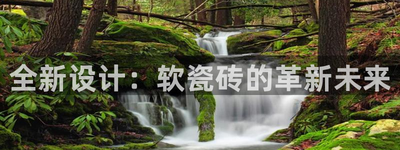 和记h88永久官网