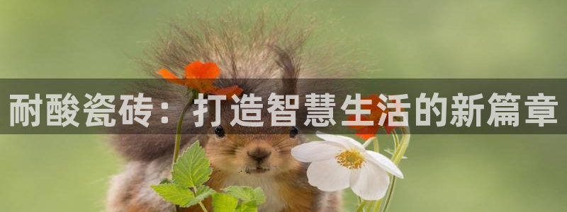 和记怡情官网入口