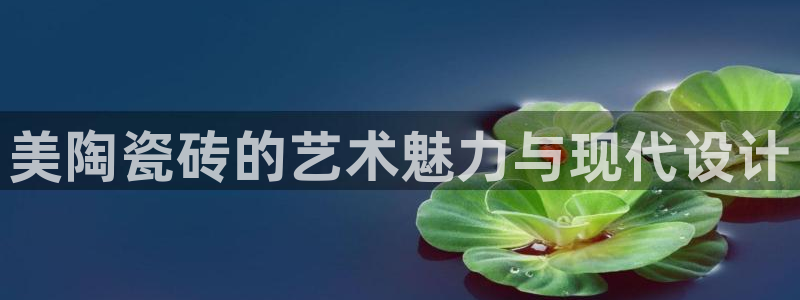 和记国际官网官网